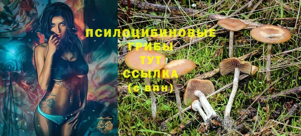 каннабис Алексеевка