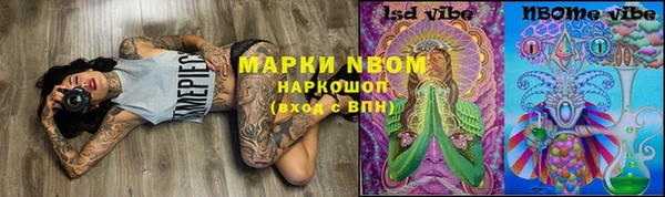 гашик Арсеньев