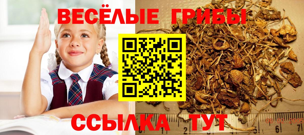 Новый Уренгой  Галлюциногенные грибы мухоморы  Вход с VPN 